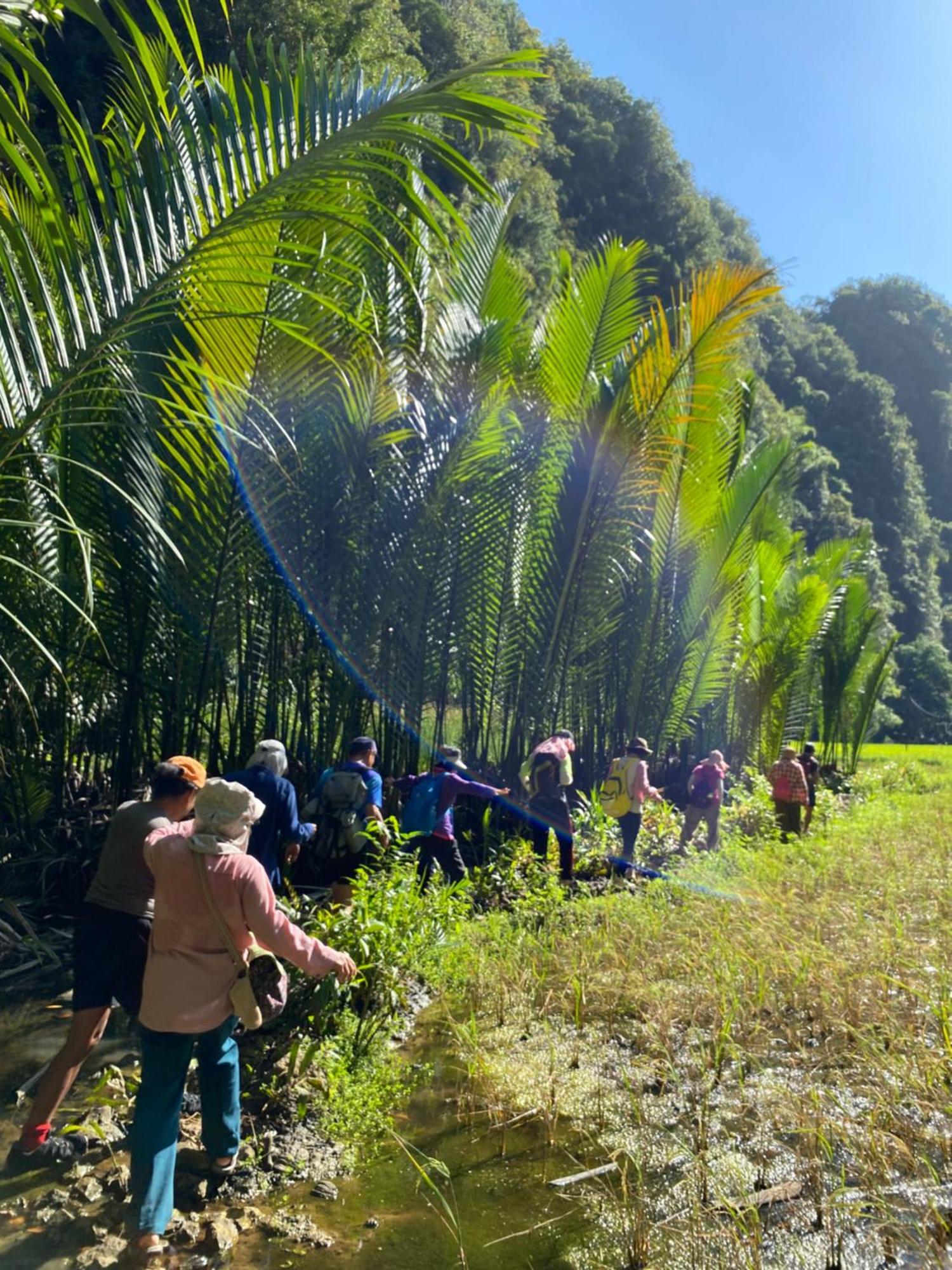 Rammang Rammang Ecolodge And Cafe Kasijala ภายนอก รูปภาพ